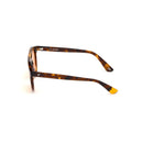 Brown Plastic Sunglasses