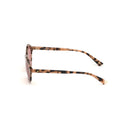 Brown Plastic Sunglasses
