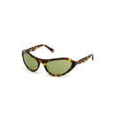 Brown Plastic Sunglasses