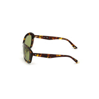 Brown Plastic Sunglasses