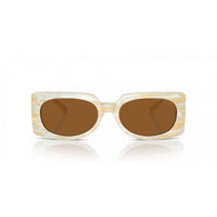Beige Acetate Sunglasses