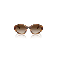 Brown Resin Sunglasses