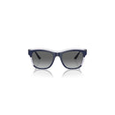 Blue Resin Sunglasses