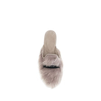 Gray Lamb Ovis Aries Aries Mules