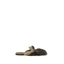 Gray Lamb Ovis Aries Aries Mules