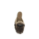 Gray Lamb Ovis Aries Aries Mules