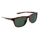 Brown Injected Sunglasses