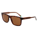 Brown Injected Sunglasses