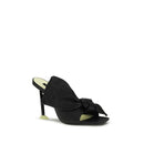 Black Lamb Ovis Aries Aries Mules