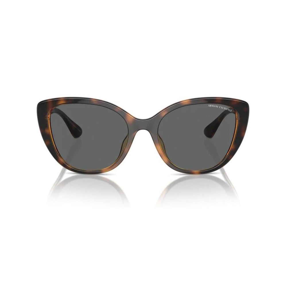 Brown Injected Sunglasses