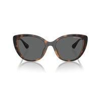 Brown Injected Sunglasses
