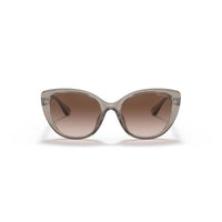 Brown Injected Sunglasses