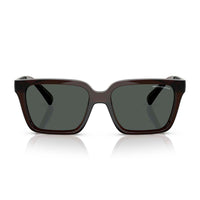 Bicolor Injected Sunglasses