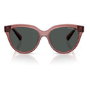 Multicolor Injected Sunglasses