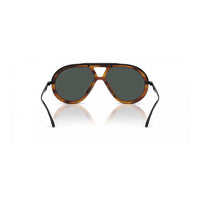 Brown Acetate Sunglasses