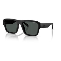 Brown Injected Sunglasses