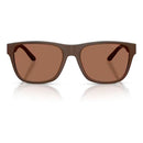 Brown Acetate Sunglasses