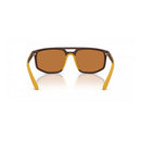 Brown Injected Sunglasses