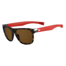 Brown Injected Sunglasses