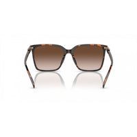 Brown Acetate Sunglasses