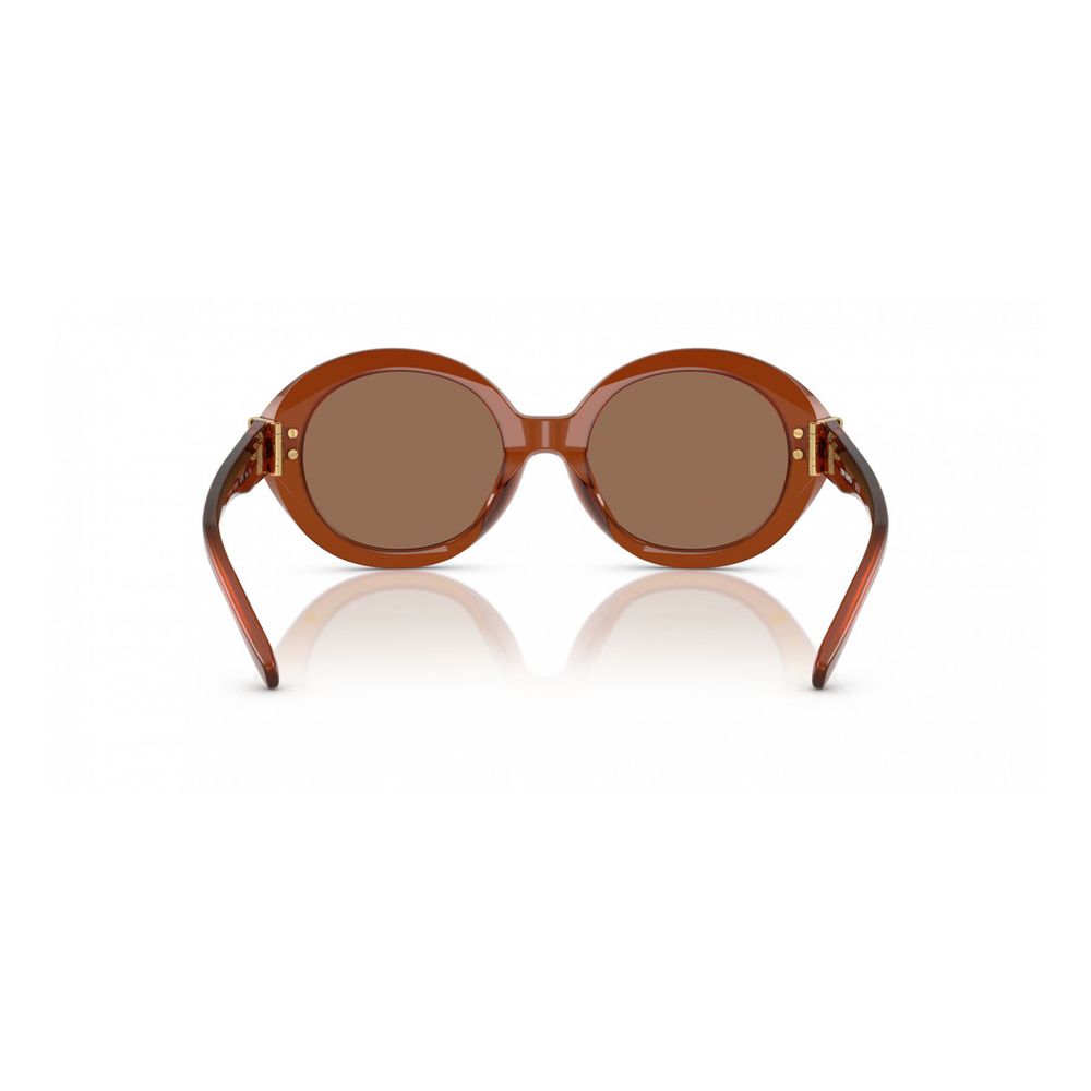 Brown Acetate Sunglasses