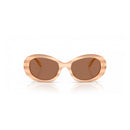 Brown Acetate Sunglasses