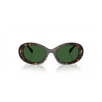 Brown Acetate Sunglasses