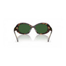 Brown Acetate Sunglasses