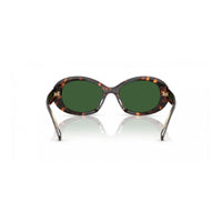 Brown Acetate Sunglasses