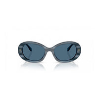 Blue Acetate Sunglasses