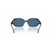 Blue Acetate Sunglasses