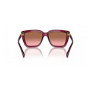 Multicolor Injected Sunglasses