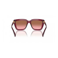 Multicolor Injected Sunglasses