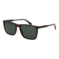 Brown Plastic Sunglasses