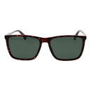 Brown Plastic Sunglasses