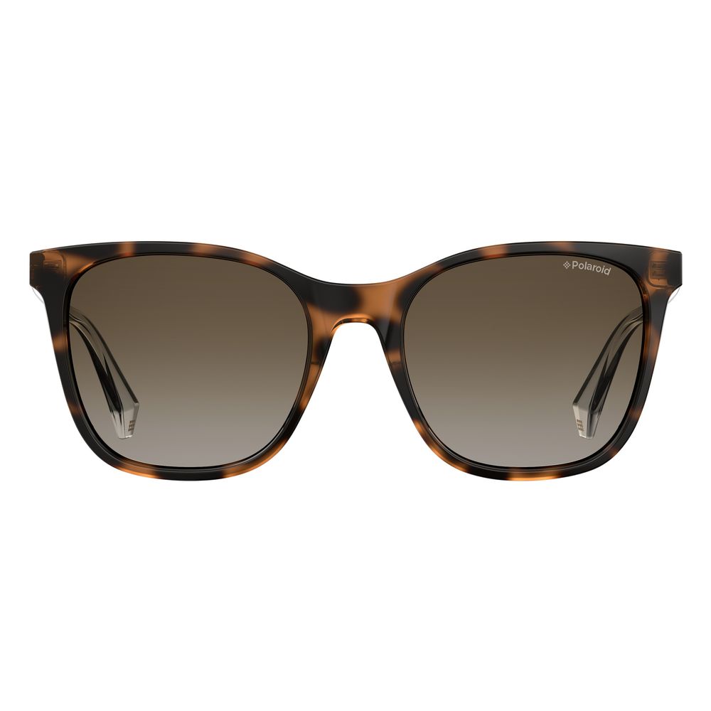 Brown Plastic Sunglasses