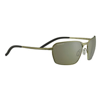Brown Plastic Sunglasses