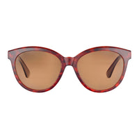 Brown Resin Sunglasses