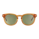 Brown Resin Sunglasses