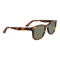 Brown Resin Sunglasses