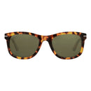 Brown Resin Sunglasses