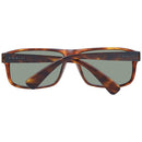 Brown Plastic Sunglasses