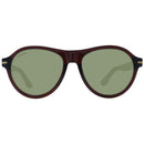 Brown Acetate Sunglasses