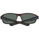 Brown Plastic Sunglasses