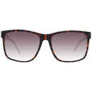 Brown Plastic Sunglasses