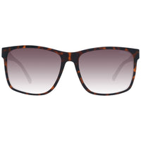Brown Plastic Sunglasses