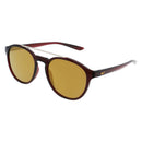 Multicolor Injected Sunglasses