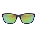 Black Plastic Sunglasses