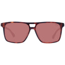 Brown Acetate Sunglasses