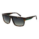 Brown Acetate Sunglasses